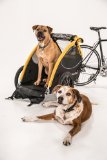 Burley Design Tail Wagon Bike Trailer, Yellow/Black