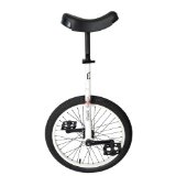 Sun Flat Top Street Unicycle 24″ Gloss White