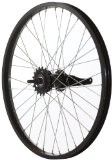 Avenir 36H Alloy Coaster Brake Rear Wheel (Black, 20-Inch  x 1.5-Inch )