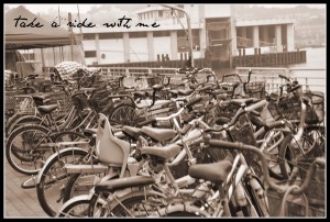 Deviant Art - Pic of family of bicycles