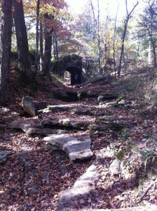 Lobo Pic - View of Bridge