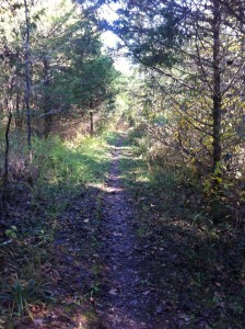 Lobo Pic - View of Hobbit Trail