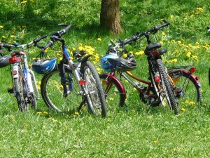 bicycles-6895_640