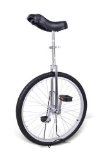 24 Inch Wheel Frame Mountain Bike Unicycle – Burnished Chrome